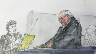 Twenty-year term sought for French surgeon in mass sex abuse trial