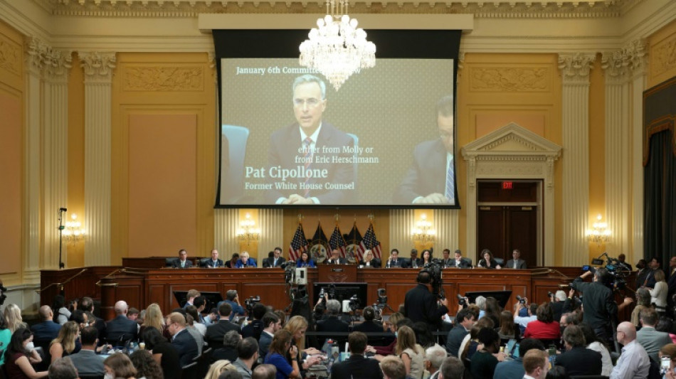 U-Ausschuss: Trump rief gewaltt&auml;tige Anh&auml;nger "zu den Waffen"