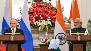 Putin offers India 'uninterrupted' oil in summit talks with Modi