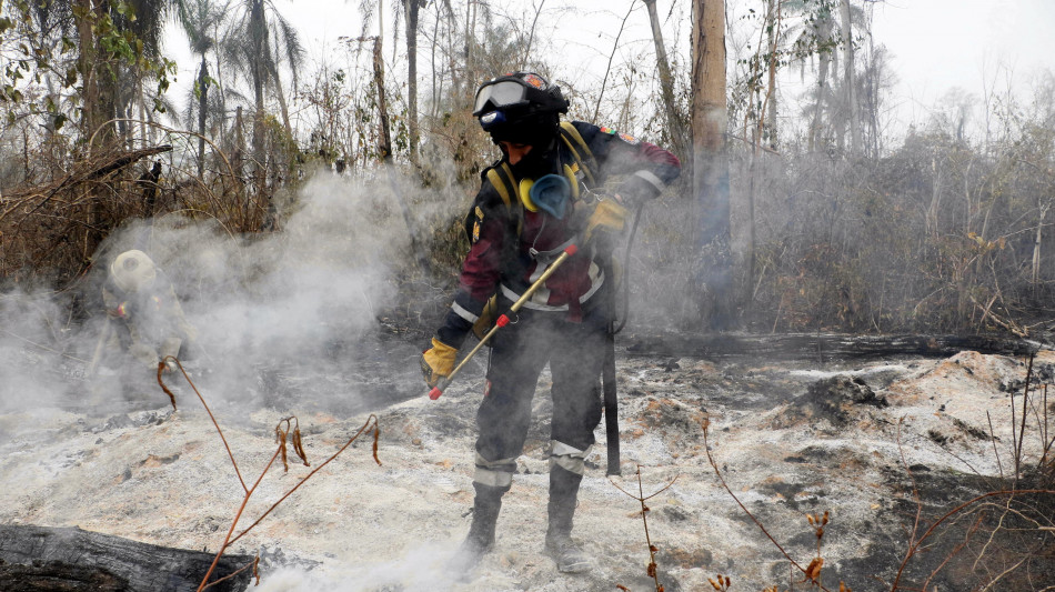 Dal Brasile alla Bolivia, &egrave; record di incendi in Sud America