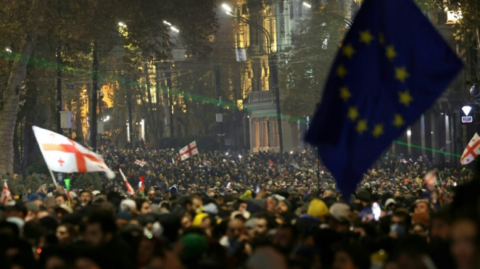Pour l'opposition en G&eacute;orgie, la manifestation comme rem&egrave;de &agrave; la m&eacute;lancolie