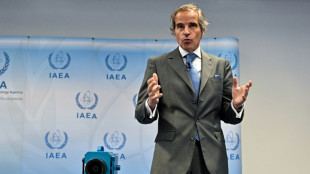 El OIEA "no puede garantizar" que el programa nuclear iran&iacute; sea "exclusivamente pac&iacute;fico"