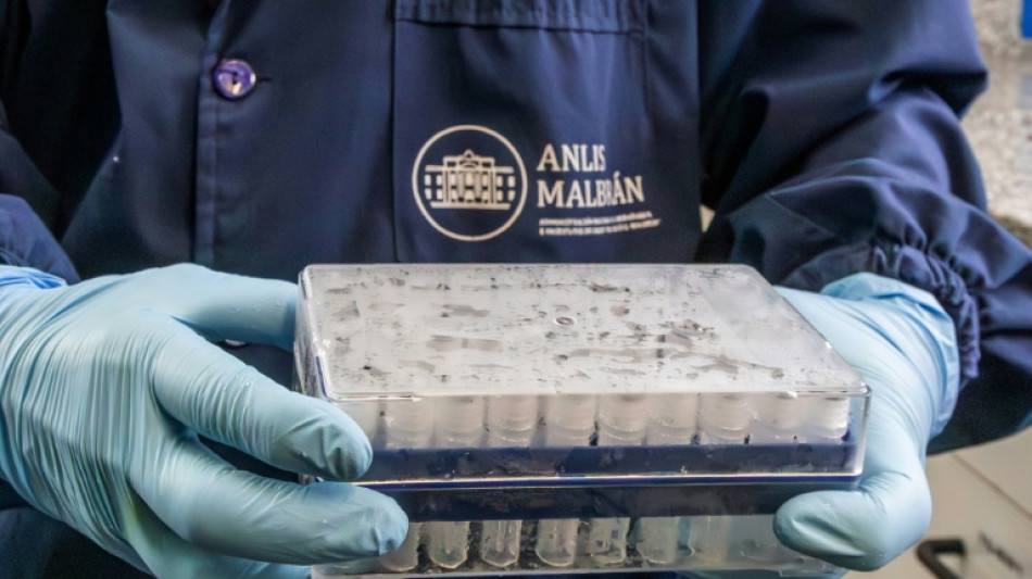 Argentina registra un aumento de casos de hantavirus, pero sin brote, dice un experto