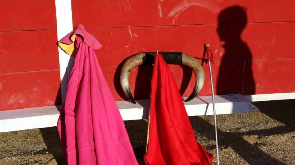 Los menores y las corridas de toros, &iquest;cu&aacute;l es la situaci&oacute;n en el mundo?