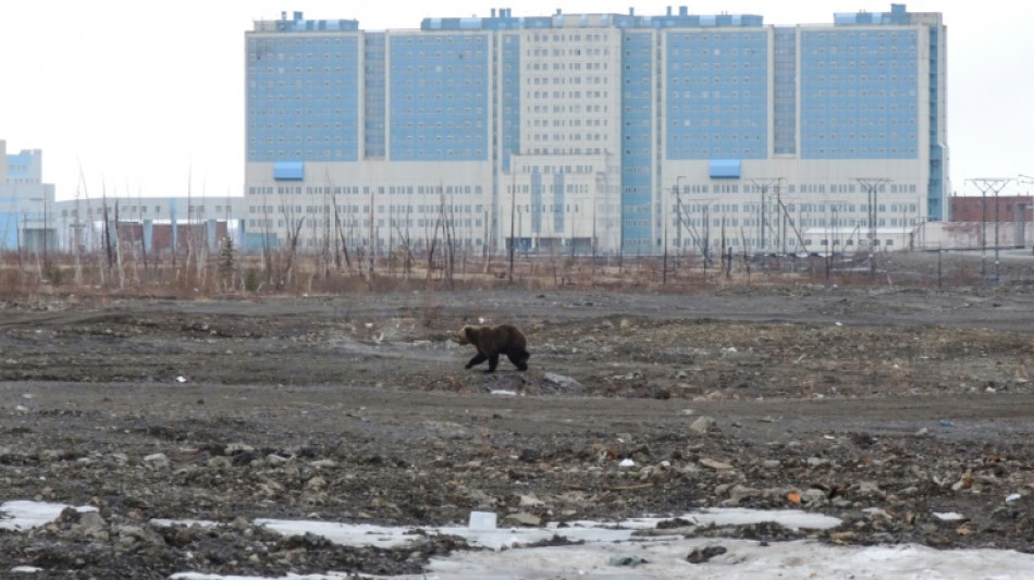 USA benennen Sonderbotschafter f&uuml;r die Arktis