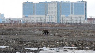 USA benennen Sonderbotschafter f&uuml;r die Arktis