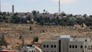 Una delegaci&oacute;n &aacute;rabe denuncia la "prohibici&oacute;n" de Israel a su visita a Cisjordania