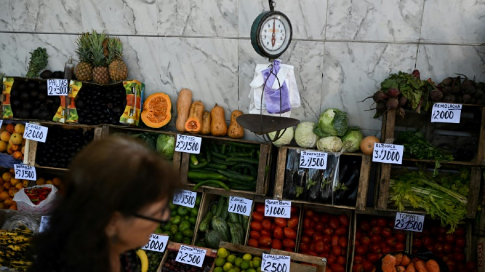 La econom&iacute;a argentina se contrajo un 1,8% en 2024, primer a&ntilde;o del gobierno de Milei