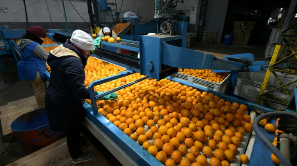 Produtores rurais mant&ecirc;m apoio a Milei, mas cobram mais reformas