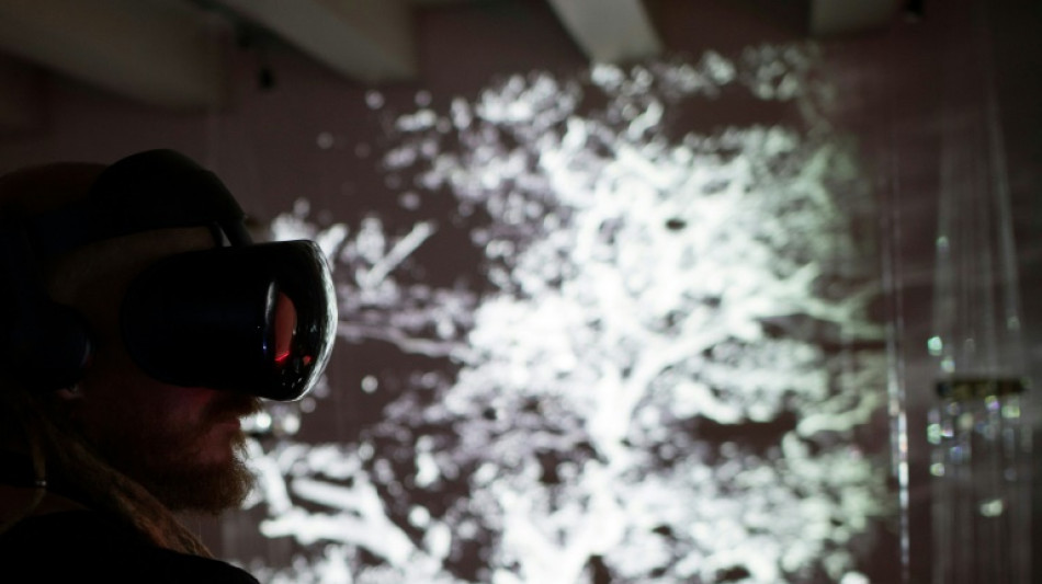 Con el metaverso tambi&eacute;n lleg&oacute; el acoso sexual