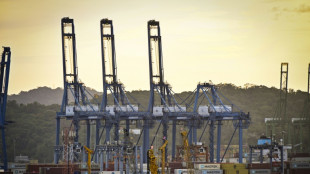 Las cr&iacute;ticas a la venta de puertos del canal de Panam&aacute; hunden las acciones de una empresa hongkonesa