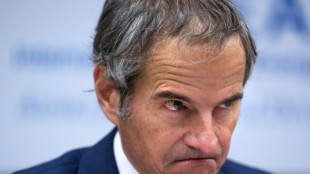 El OIEA adopta una resoluci&oacute;n contra Ir&aacute;n por el desarrollo de su programa nuclear