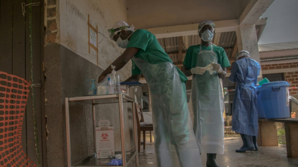 La viruela del mono, una enfermedad rara que generalmente se cura espont&aacute;neamente