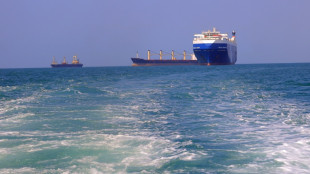 Mer Rouge: quelles r&eacute;percussions pour l'&eacute;conomie mondiale?