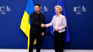 Ukraine: les dirigeants europ&eacute;ens avec Zelensky lundi &agrave; Washington