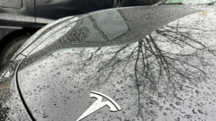 Offenbar gr&ouml;&szlig;eres Datenleck beim Elektroautobauer Tesla