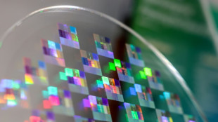 Boomende Chip-Industrie: Taiwan verzeichnet neuen Exportrekord