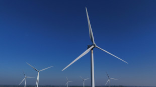 Rinnovabili al 47,5% dei consumi elettrici in Ue nel 2024