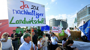 EU-Parlament f&uuml;r umstrittenes Renaturierungsgesetz - Vorhaben aber abgeschw&auml;cht