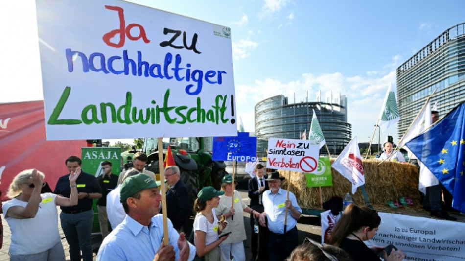 EU-Parlament stimmt f&uuml;r umstrittenes Renaturierungsgesetz