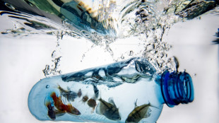 No bastar&aacute; solo con el reciclaje de pl&aacute;sticos, advierte jefa de ONU-Medioambiente