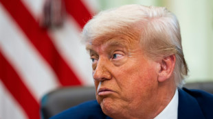 Trump says Macrons 'are fine' after plane row video