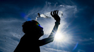 Copernicus, il 2024 l'anno pi&ugrave; caldo della storia