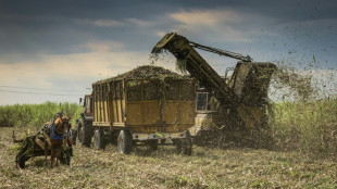 Cuba veut "sauver" son sucre, autrefois produit-phare de l'&icirc;le