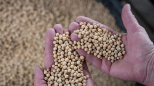 US soybeans, energy: Who is hit by China's tariff retaliation?