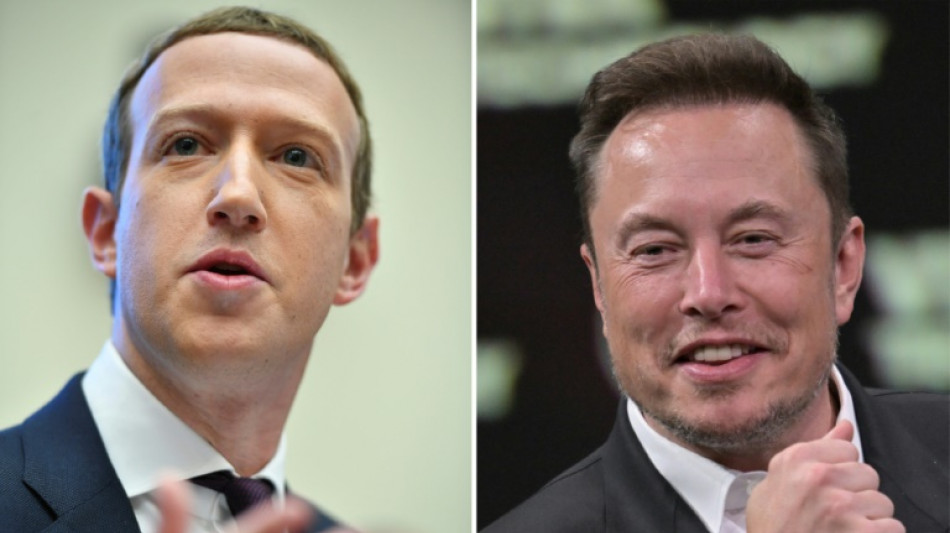 Zuckerberg und Musk werfen sich gegenseitig Scheu vor m&ouml;glichem Kampf vor
