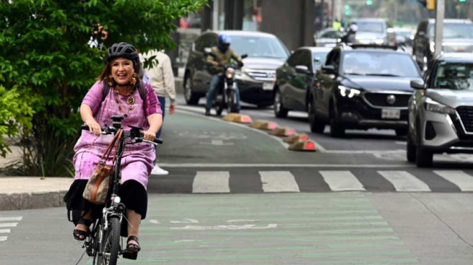 Mexico opposition picks businesswoman Galvez as presidential candidate