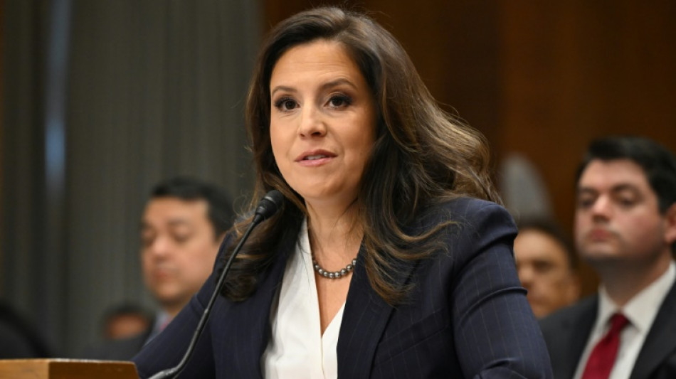 Trump withdraws UN envoy pick amid Congress majority fears