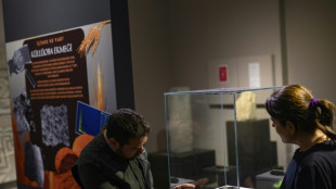 Turquía descubre y replica un pan de 5.000 años de antigüedad