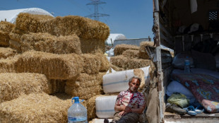 La inflaci&oacute;n amenaza la Fiesta del Cordero en Turqu&iacute;a