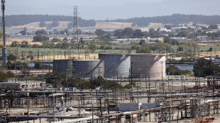 Il petrolio chiude in rialzo a New York a 58,79 dollari