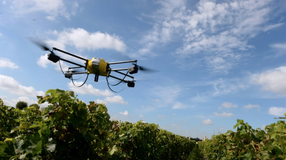 Phytosanitaires: l'épandage par drone désormais autorisé dans certains cas