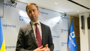 Ukraine: Chef von Energiekonzern Naftogaz neuer Regierungschef