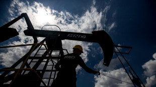 Il petrolio chiude in rialzo a New York a 69,27 dollari
