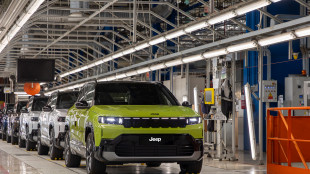 Stellantis crolla in Borsa (-10%) dopo i conti