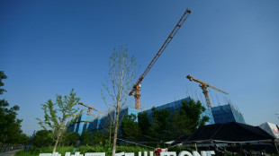 Hoch verschuldeter chinesischer Immobilienkonzern verschiebt Gl&auml;ubigerabstimmung