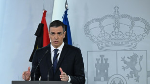 L'Espagne portera ses d&eacute;penses militaires &agrave; 2% du PIB d&egrave;s cette ann&eacute;e, selon S&aacute;nchez