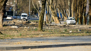 Milit&auml;rdrohne aus sowjetischer Produktion in Kroatien abgest&uuml;rzt