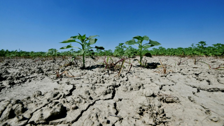 Premier recours climatique contre l&rsquo;&Eacute;tat italien: un tribunal doit se prononcer