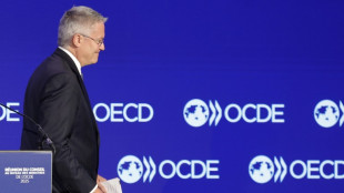 OECD senkt weltweite Wachstumsaussichten wegen Handelskrieg