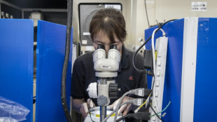 Se diversifier pour survivre: au Japon, des PME pr&ecirc;tes &agrave; s'adapter face &agrave; la temp&ecirc;te Trump