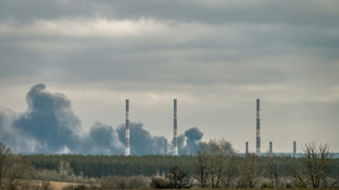 Putin beantragt gr&uuml;nes Licht des Parlaments f&uuml;r Truppeneinsatz in Ostukraine 