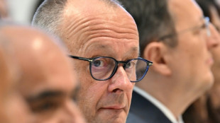 Merz annonce une manne d'investissements priv&eacute;s pour relancer l'Allemagne