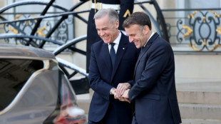 Ukraine's European, US allies meet in Paris on security guarantees