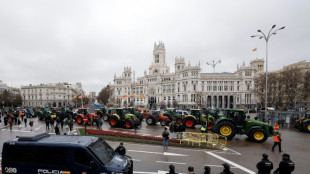 El acuerdo entre la UE y el Mercosur se aplicar&aacute; provisionalmente desde el 1 de mayo