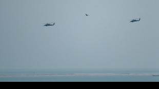 Wp, 'da aziende private cinesi intelligence all'Iran su truppe Usa'